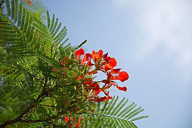 ELECTRONIC ARTS 展望《EA SPORTS FC™》  以及实机游玩首度亮相